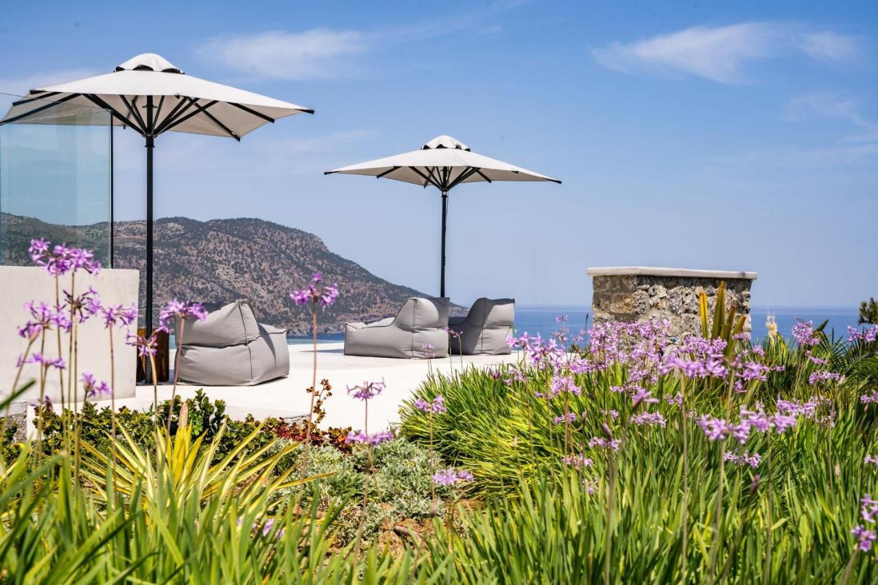 Istia Luxury Villas 卡尔帕索斯 外观 照片