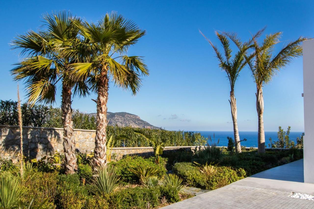 Istia Luxury Villas 卡尔帕索斯 外观 照片